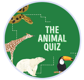 Animal Quiz Thumbnail